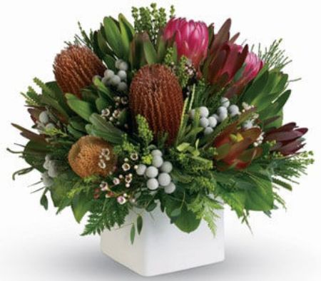 Picture for category Natives